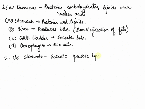 1which-of-the-following-accessory-organs-secretes-enzymes-to-digest-all-food-types-astomach-bliver-cgall-bladder-desophagu-epancreas-2where-does-chemical-digestion-of-lipids-begin-amouth-bst-28211