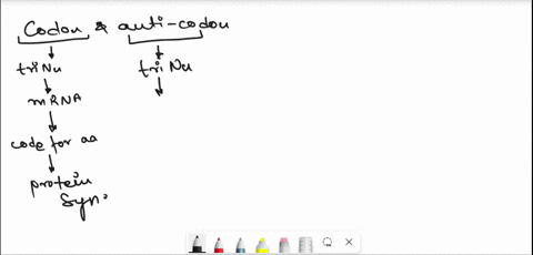 question-completion-status-moving-to-another-questiori-will-save-this-response-question-whal-is-thc-anticodon-for-ugccau-agccau-ucggua-acggta-ugccau-acggua-moving-arothei-question-will-save-53354