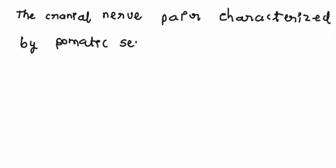 which-cranial-nerve-pair-is-characterized-by-somatic-sensory-fibers-crossing-at-the-ventral-mdhine-of-the-brain-a1-bii-civ-dv-eviii-79663