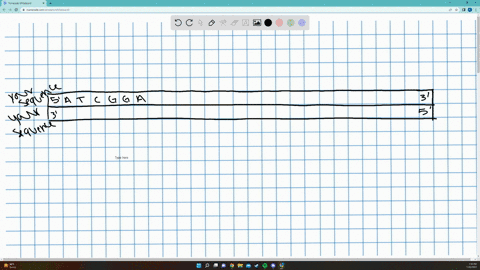 1-below-the-example-sequence-provided-where-it-says-your-sequence-write-out-a-dna-sequence-of-your-choosing-using-all-four-nucleotides-atg-and-c-in-any-order-and-number-but-make-the-total-le-52295