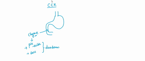 what-is-the-role-of-cholecystokinin-ckk-in-digestion-a-it-signals-the-gallbladder-to-release-bile-to-emulsify-fat-b-it-signals-the-kidneys-to-excrete-waste-c-it-signals-the-liver-to-absorb-n-81684