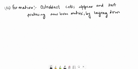 how-does-the-process-of-bone-remodeling-occur-and-what-are-the-clinical-implications-of-this-process-77112