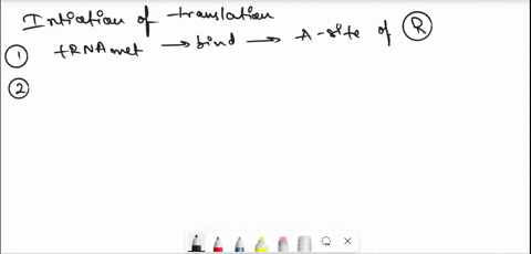 53-during-initiation-of-translation-the-initiator-trnamet-binds-t0-the-a-site-of-a-ribosome-specific-rrna-base-pairs-with-sequence-in-mrna-t0-position-ribosome-at-the-start-codon_-if-3-must-67617