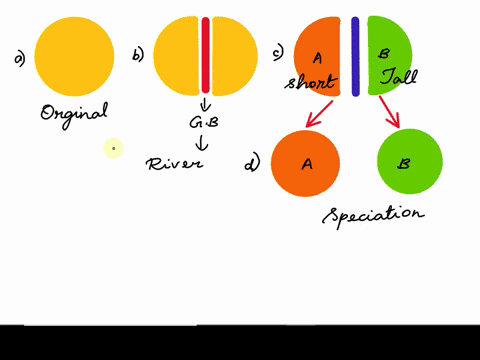 1-a-population-of-deer-is-split-into-two-by-the-formation-of-a-river-from-melting-glaciers-deer-on-one-side-of-the-river-live-in-a-forested-habitat-and-smaller-deer-have-an-easier-time-hidin-36387