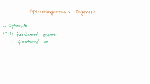 a-basic-difference-between-spermatogenesis-and-oogenesis-is-that-a-four-functional-eggs-two-sperm-are-produced-b-four-functional-sperm-and-one-functional-egg-is-produced-c-both-sperm-and-egg-38327