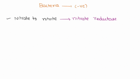 19_-list-which-bacteria-used-in-lab-are-negative-nitrate-negative-species-nitrate-reagent-4-sulfanilic-acid-nitrate-reagent-b-alpha-naphthyl-amine-powder-no-change-in-color-is-observed-when-38425