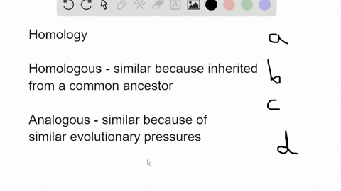 which-is-homologous-to-the-bones-in-the-flipper-of-a-dolphin-a-the-rays-of-a-fin-in-a-fish-b-the-wing-of-a-fly-c-the-vestigial-hind-leg-bones-in-a-whale-d-the-bones-in-the-arm-of-a-horse-47843
