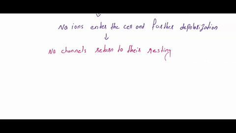 1-what-is-the-proper-order-of-the-following-main-steps-in-the-generation-of-an-action-potential-sodium-channels-are-closed-more-voltage-regulated-potassium-channels-open-and-potassium-moves-69236