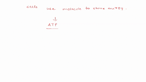 cells-use-a-molecule-called-choose-to-store-and-release-energy-like-a-battery-the-energy-is-stored-in-chemical-bonds-between-choose-groups-of-the-molecule-and-the-energy-is-released-when-the-64873