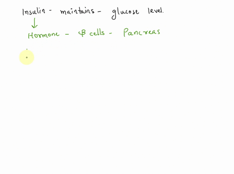 how-does-insulin-maintain-glucose-level-04027