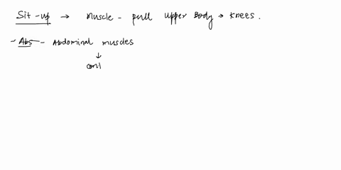 during-a-sit-up-with-the-feet-anchoredwhich-muscle-group-is-most-active-to-pull-the-upper-body-up-to-touch-the-elbows-to-the-knees-o-hip-flexors-crectusabdominus-erectorspinae-46488