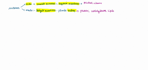 what-metabolic-intermediate-is-shared-by-all-three-macronutrients-1-pt-41437