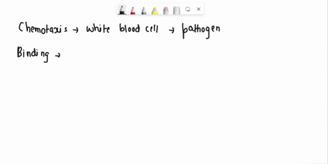 question-36-5-pts-match-the-steps-of-phagocytosis-with-the-description-chemotaxis-choose-this-is-the-actual-endocytosis-the-pathogen-is-broken-down-inside-the-white-blood-cell-the-white-bloo-91164
