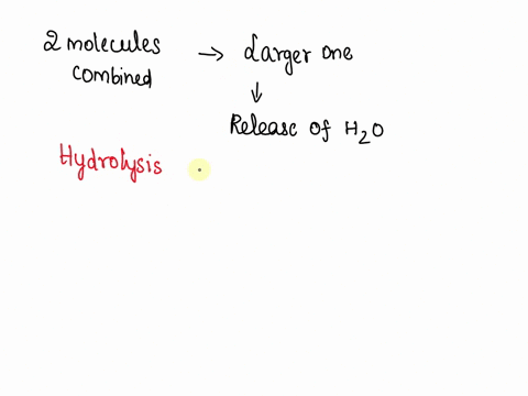 a-chemical-reaction-that-joins-two-organic-molecules-into-a-larger-one-and-produces-water-as-a-by-product-is-called-_____________-75018