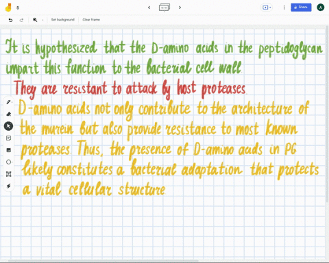 it-is-hypothesized-that-the-d-amino-acids-in-the-peptidylglycan-impart-this-function-to-the-bacterial-cell-wall-a-they-provide-crosslinking-strength-to-the-cell-wall-b-they-provide-permeabil-18294