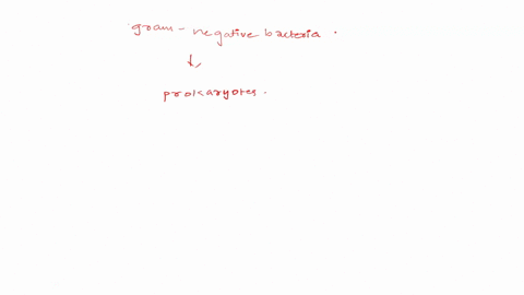 which-of-the-following-is-not-a-characteristic-found-in-gram-negative-bacteria-a-are-prokaryotic-b-have-peptidoglycan-cell-wall-c-have-the-ability-to-move-d-have-an-outer-membrane-e-have-mit-74839