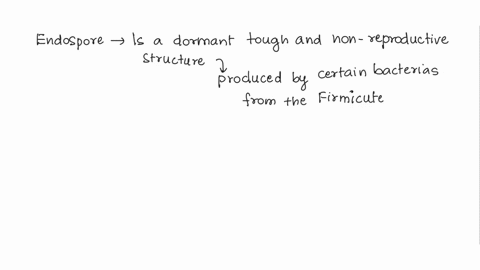 why-would-it-be-beneficial-for-bacteria-to-form-endospores-19026