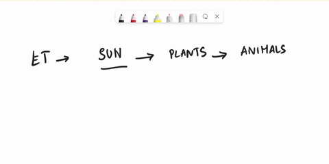 a-student-wrote-steps-to-show-the-energy-transformations-involved-in-producing-eating-and-digesting-food-which-step-shows-an-incorrect-transformation-a-radiant-energy-from-the-sun-changes-to-06477