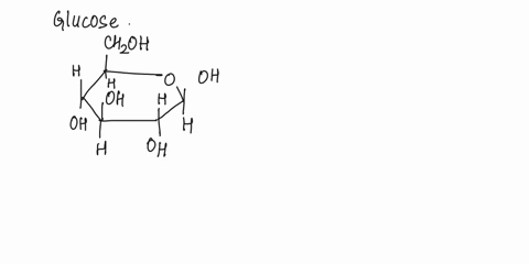 synthesis-form-the-disuecharidc-carbohydrate-glucose-monomer-join-by-ahedrlion-ficure-wtaltosa-glucorc-cldcosc-maltosc-walcr-what-functional-groups-are-found-on-glucose-circle-and-label-them-33491