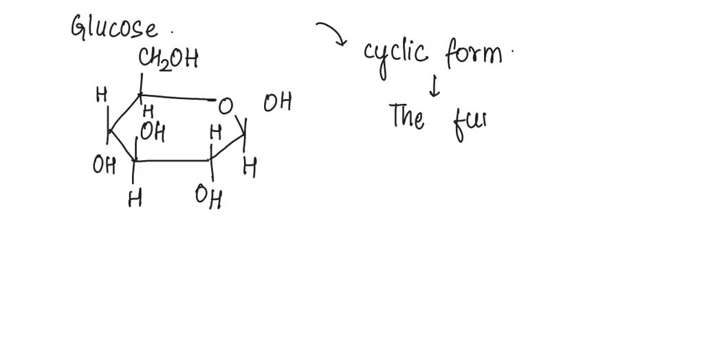 SOLVED: 3. Two molecules of glucose bind to form the disaccharide ...