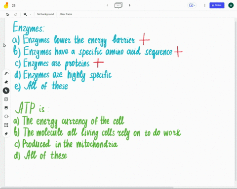which-of-the-following-statements-about-enzymes-is-true-a-enzymes-lower-the-energy-barrier-benzymes-have-a-specific-amino-acid-sequence-cenzymes-are-proteins-denzymes-are-highly-specific-all-58916