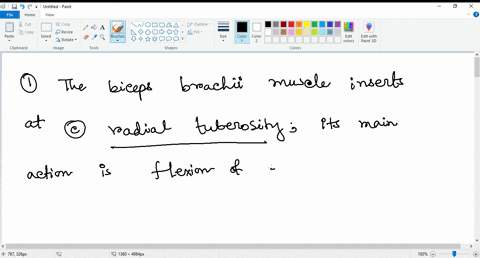 the-biceps-brachii-muscle-inserts-at-______-its-main-action-is-_____-and-_____-a-distal-phalanges-of-fingers-extension-of-fingers-b-olecranon-of-ulna-extension-of-forearm-c-radial-tuberosity-12755
