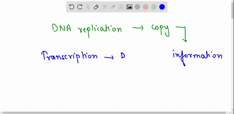 what-is-the-process-of-protein-synthesis-how-does-it-relate-to-dna-replication-and-the-creation-of-rna-25254