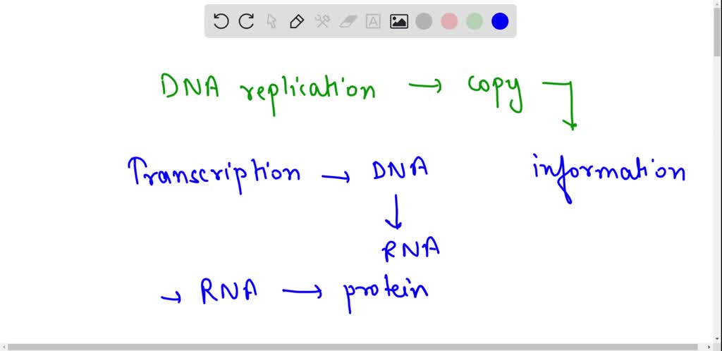 SOLVED: What is the process of protein synthesis? How does it relate to ...