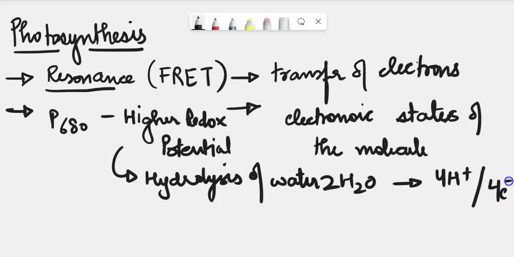 SOLVED: Which of the following statements regarding photosynthesis are