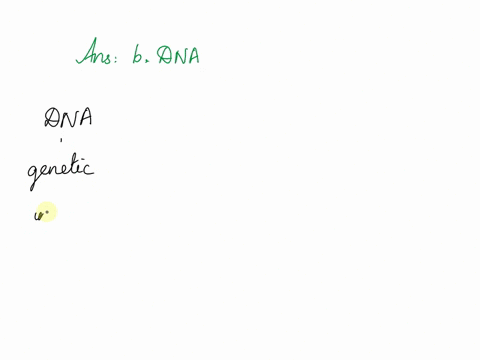 which-component-is-not-directly-involved-in-translation-a-gtp-b-dna-c-trna-d-ribosomes-92632