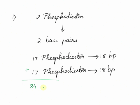 1-consider-the-following-dna-segment-5atgcccgatcagagcttt3-3taggggctagtctcgaaa5-a-how-many-phosphodiester-bonds-are-required-to-form-this-segment-of-double-stranded-dna-b-how-many-hydrogen-bo-49237