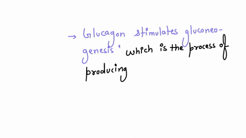what-influence-does-glucagon-have-on-carbohydrate-metabolism-a-stimulates-glycolysis-b-inhibits-the-breakdown-of-glycogen-c-reduces-the-concentration-of-glucose-in-the-blood-d-stimulates-gluconeogenes