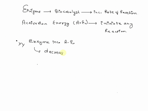 many-of-the-proteins-in-the-human-body-are-enzymes-that-catalyze-chemical-reactions-what-is-the-relationship-between-enzymes-and-activation-energy-answer-choices-when-an-enzyme-catalyzes-a-r-12637