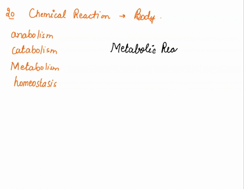 question-20-as-a-group-all-the-chemical-reactions-that-constantly-occur-within-the-body-are-called-anabolism-catabolism-metabolism-homeostasis-question-21-the-reaction-of-glucose-fructose-su-61708