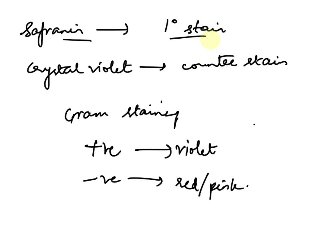 SOLVED If you use Safranin as the primary stain and Crystal Violet as