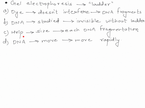 when-performing-gel-electrophoresis-why-do-mole-cular-biologists-add-a-ladder-made-up-of-nucleic-acids-or-proteins-of-known-size-to-make-sure-the-dye-included-in-the-sample-buffer-doesnt-int-52332