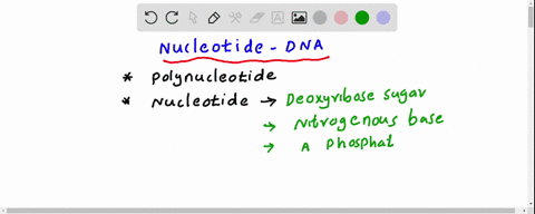 what-components-make-up-a-single-nucleotide-of-dna-select-all-that-apply-a-ribose-sugar-b-three-phosphate-groups-c-nitrogen-containing-base-d-deoxyribose-sugar-54665