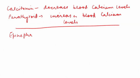 which-of-these-is-not-a-pair-of-antagonistic-hormones-a-insulin-glucagon-b-calcitonin-parathyroid-3-62002