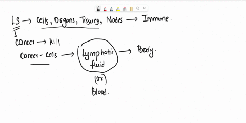 discussion-topic-2-lymphatic-capillaries-the-primary-function-of-the-lymphatic-system-is-to-return-excess-interstitial-tissue-fluid-back-to-the-blood-vascular-syster-the-vessels-of-the-lymph-82435