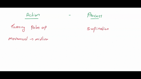 question-52-6-10-match-the-movement-to-its-description-turning-the-palm-up-supination-movement-away-from-the-midline-of-the-body-abduction-a-conical-type-movment-circumducton-a-movement-arou-30685