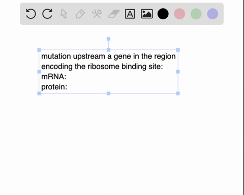 a-mutation-occurs-upstream-of-gene-a-in-the-region-encoding-the-ribosome-binding-site-predict-how-this-mutation-will-impact-the-levels-of-mrna-and-protein-produced-for-gene-a-mrna-will-incre-59628