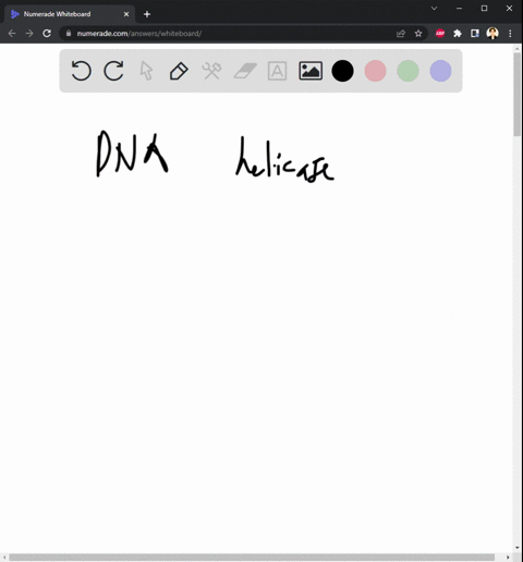 question-31-1-point-this-large-hndecomplex-general-transcription-factor-has-a-dna-helicase-exposes-the-template-for-rna-polymerase-i-activity-that-activity-that-phosphorylates-transcription-81058