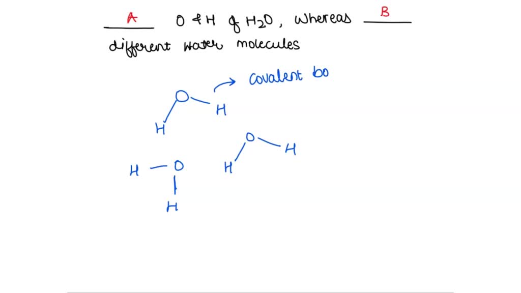 Solved Hydrogen Bonds Form Between A Hydrogen Atom And An Oxygen Atom