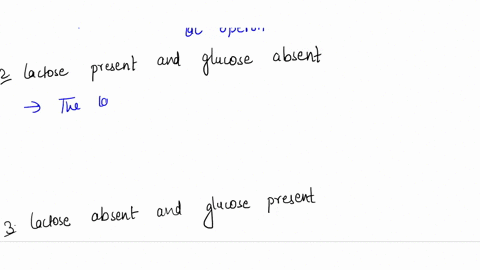 lactose-absent-and-glucose-bsent-the-lac-repressor-is-select-_-to-the-operator-the-cap-protein-is-select-_-to-the-promoter-there-is-select-_-transcription-of-the-lac-operon-lactose-present-a-54958