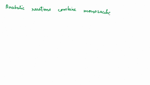 question-17-pts-carbohydrates_-nucleic-acids-lipids-like-triglycerides-and-proteins-are-all-built-by-which-type-of-chemical-reaction-88165