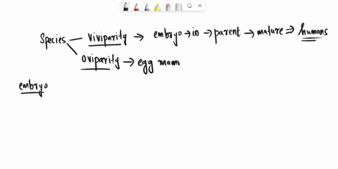 mammals-that-give-birth-to-under-developed-young-that-must-continue-developing-in-a-pouch-like-structure-are-termed-a-monotremes-b-marsupials-c-placentals-d-bird-like-88985