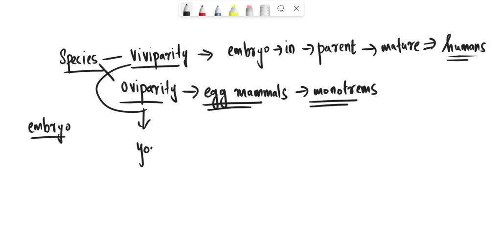 SOLVED: The mammals whose offspring are little more than embryos are? A