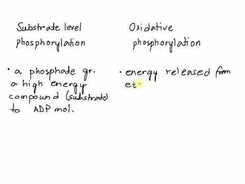 atp-synthesis-requires-energy-coupling-to-occur-which-statements-correctly-matches-the-mechanism-of-atp-synthesis-with-the-exergonic-component-necessary-for-atp-synthesis-to-take-place-a-sub-20978