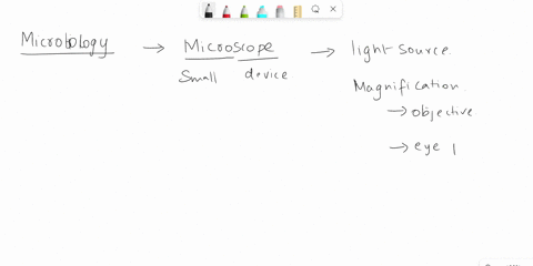the-eyepiece-of-the-microscope-is-10x-if-the-objective-lens-also-has-magnification-of-43x-what-is-the-total-magnification-61837