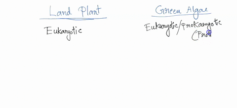 algae-and-land-plants-classify-the-following-characteristics-as-either-describing-green-alga-or-land-plants-choices-may-be-used-more-than-once-contain-chlorophylls-and-various-accessory-pigm-00688